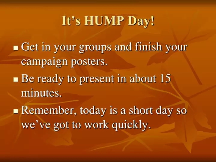 it s hump day