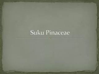 suku pinaceae