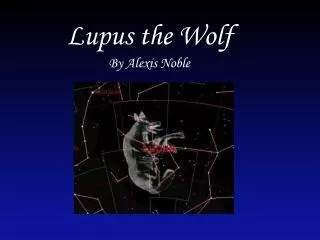 Lupus the Wolf