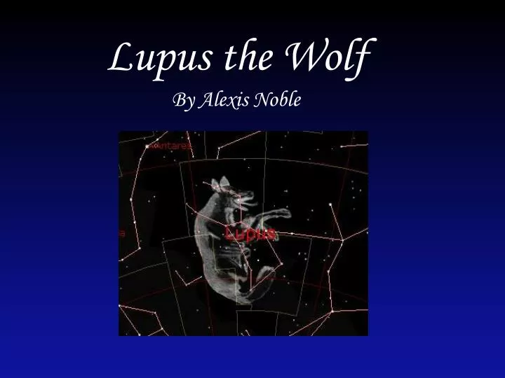 lupus the wolf