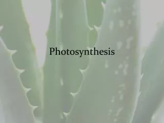 Photosynthesis