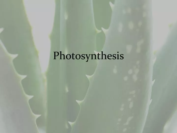 photosynthesis