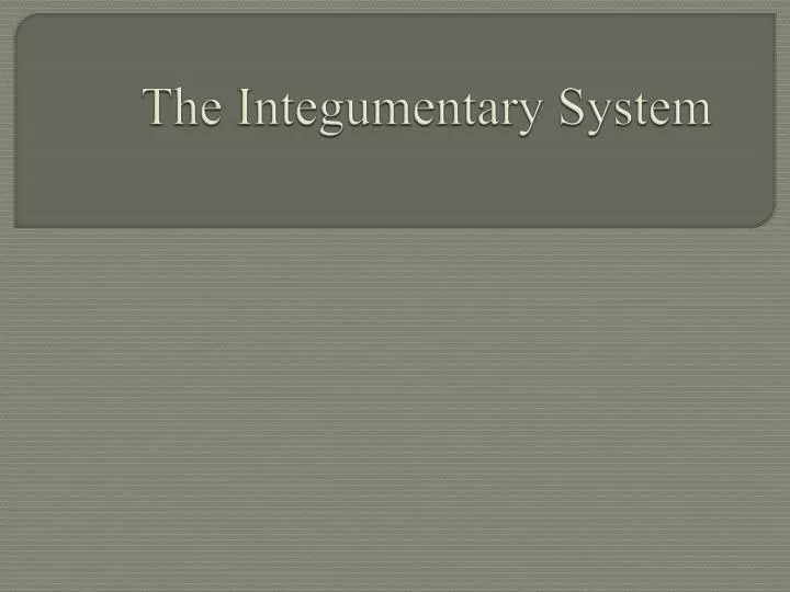 the integumentary system