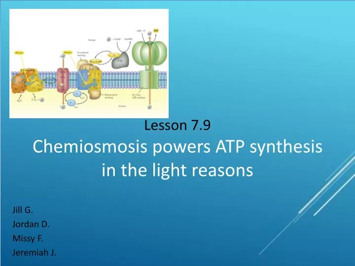 lesson 7 9 chemiosmosis powers atp synthesis in the light reasons