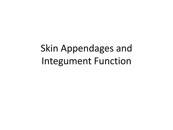 skin appendages and integument function