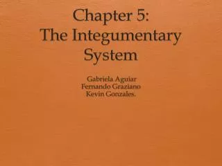 Chapter 5: The Integumentary System