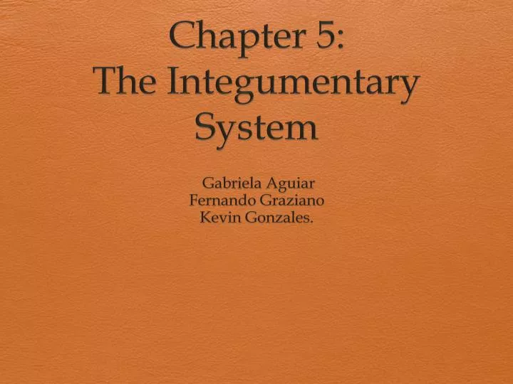 chapter 5 the integumentary system