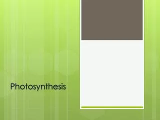 Photosynthesis