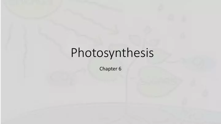 photosynthesis