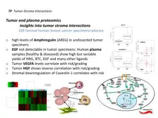 TP Tumor-Stroma Interactions