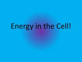 Energy in the Cell!