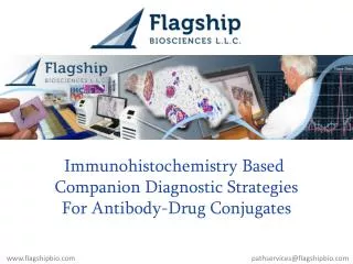 Immunohistochemistry Based Companion Diagnostic Strategies For Antibody-Drug Conjugates