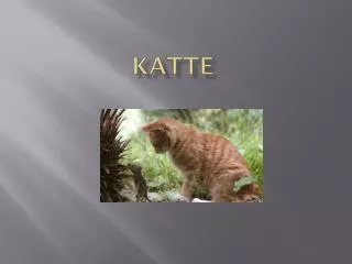 katte