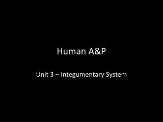 Human A&amp;P