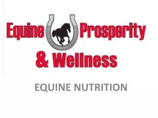 EQUINE NUTRITION