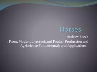 Horses