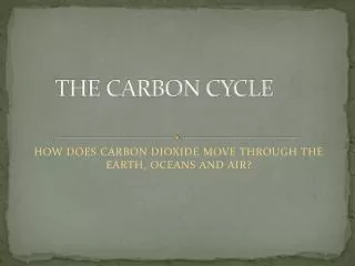 THE CARBON CYCLE