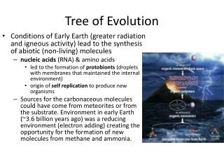 Tree of Evolution