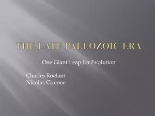 The LATE Paleozoic Era