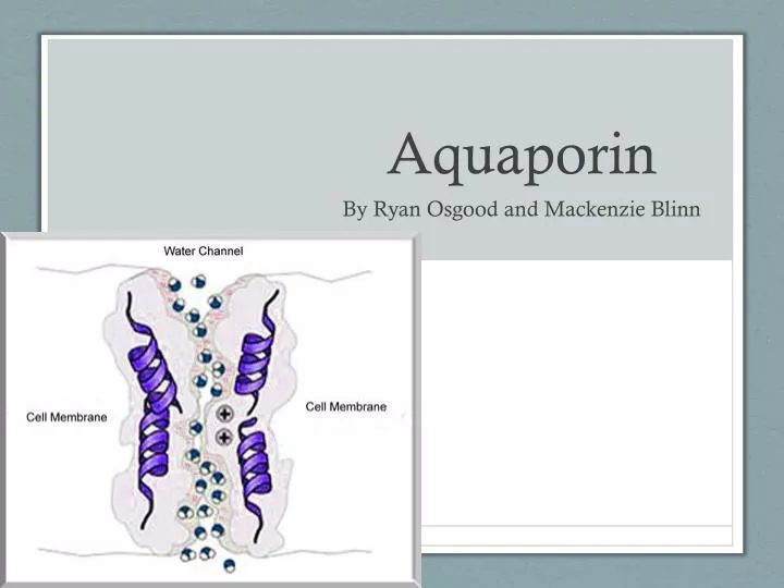 aquaporin