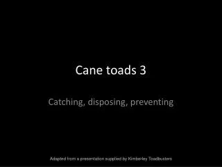 Cane toads 3