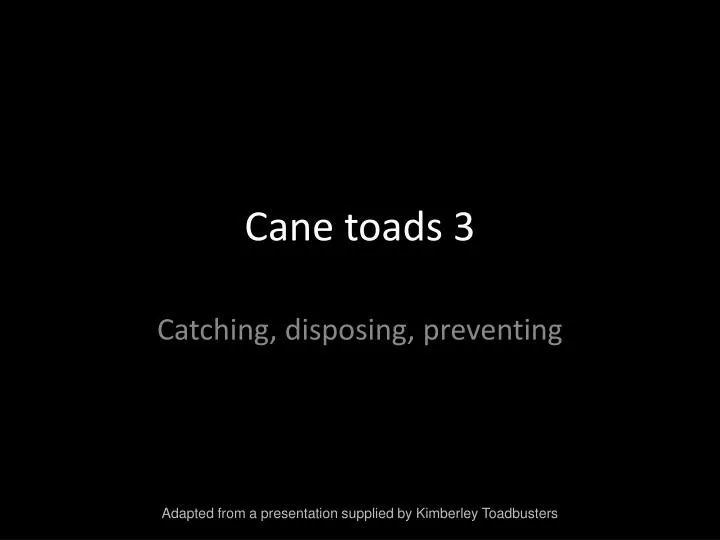 cane toads 3