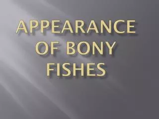 Appearance of BONY FISHES