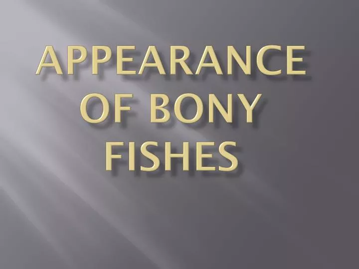 appearance of bony fishes
