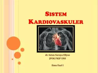 sistem kardiovaskuler
