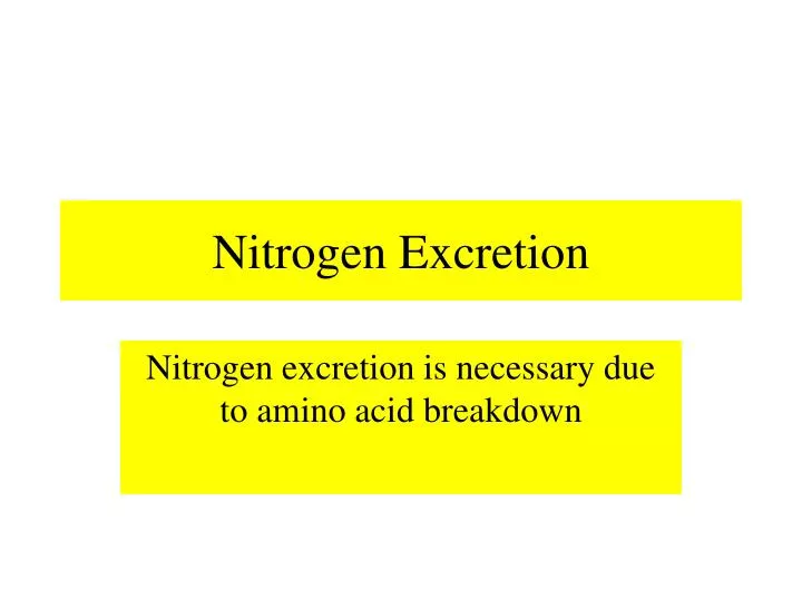 nitrogen excretion