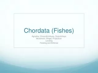 Chordata (Fishes)