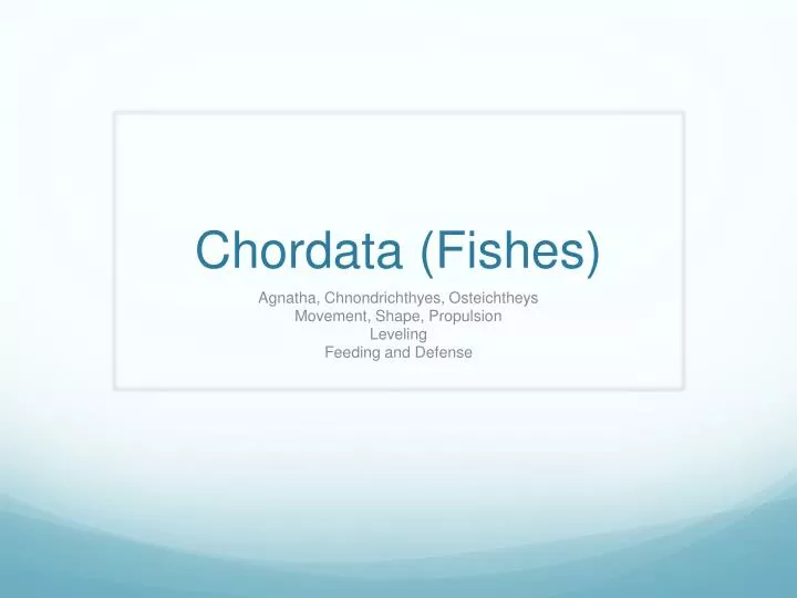 chordata fishes