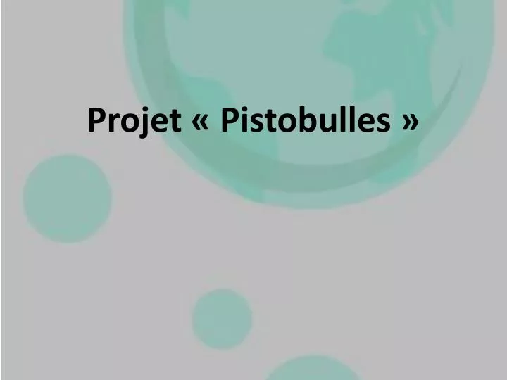 projet pistobulles