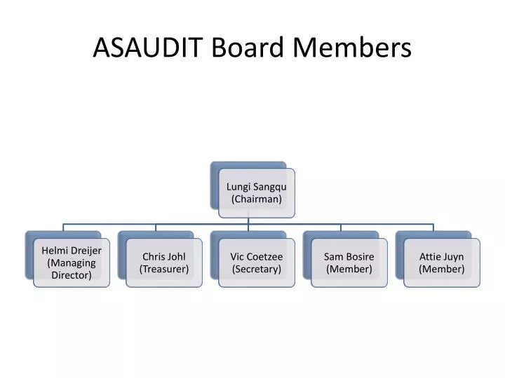 asaudit board members