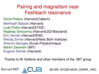 Pairing and magnetism near Feshbach resonance