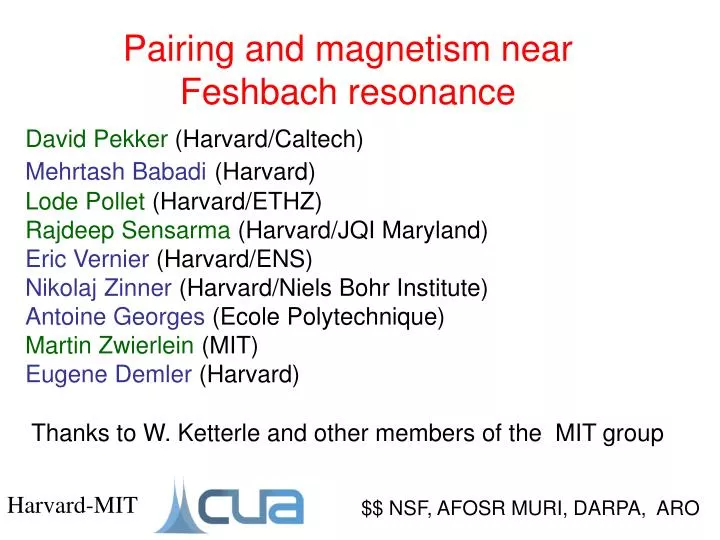 pairing and magnetism near feshbach resonance