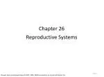 Chapter 26 Reproductive Systems - slide 1