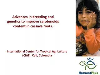 Advances in breeding and genetics to improve carotenoids content in cassava roots.
