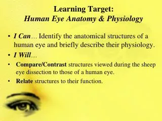 Learning Target: Human Eye Anatomy &amp; Physiology