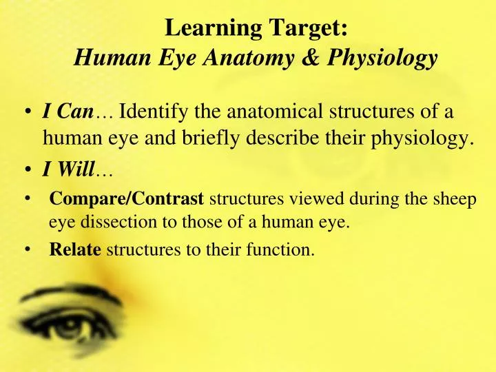 learning target human eye anatomy physiology