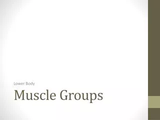 Muscle Groups