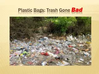 Plastic Bags: Trash Gone Bad