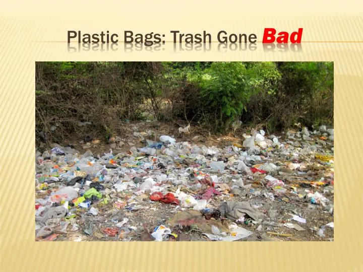 plastic bags trash gone bad