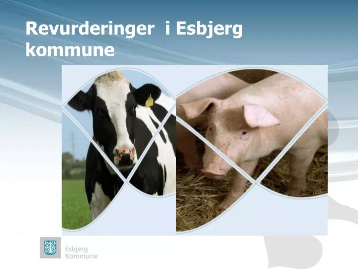 revurderinger i esbjerg kommune