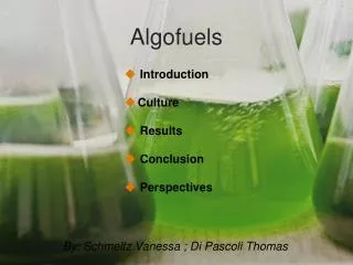 Algofuels