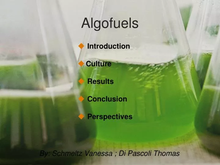 algofuels