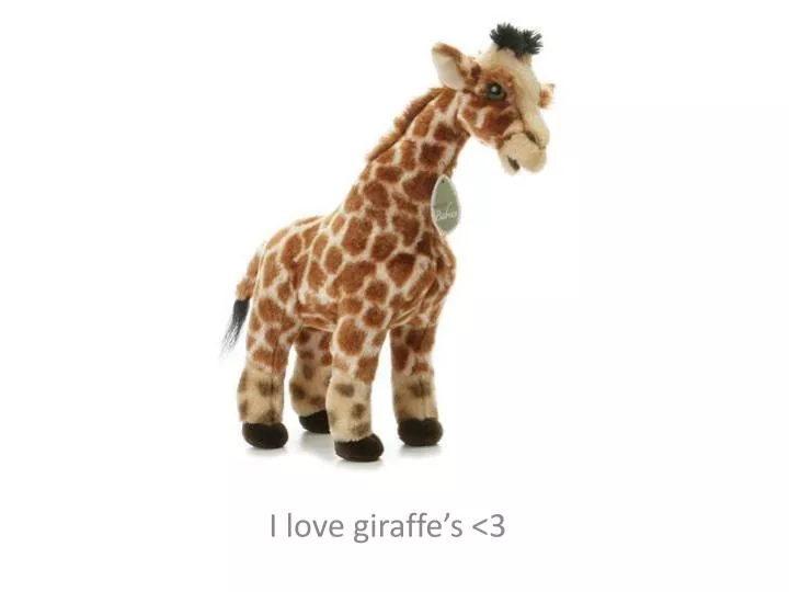 i love giraffe s 3