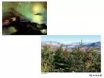 The Process of Photosynthesis: Light-Dependent and Light-Independent Reactions - slide 1