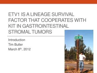 ETV1 is a lineage survival factor that cooperates with KIT in gastrointestinal stromal tumors