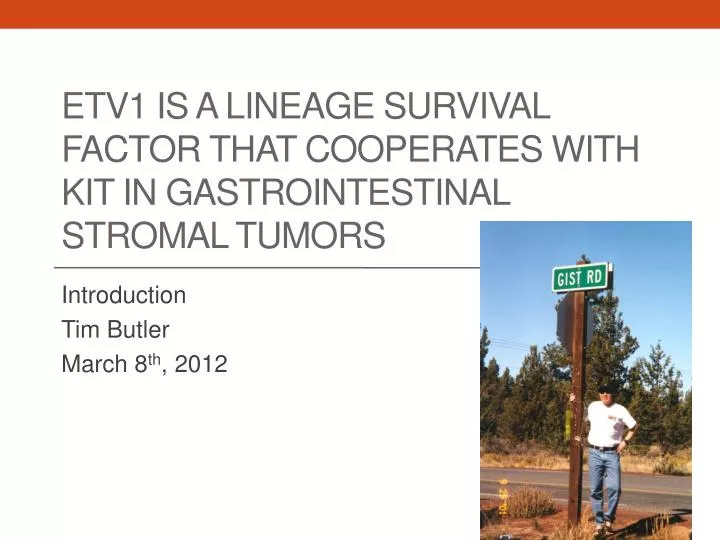 etv1 is a lineage survival factor that cooperates with kit in gastrointestinal stromal tumors